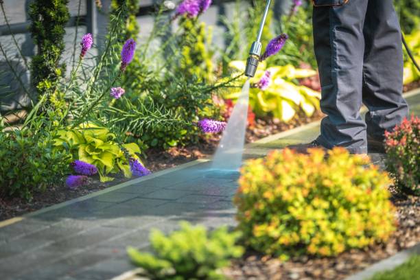 Best Spring Cleaning  in Crystal, MN